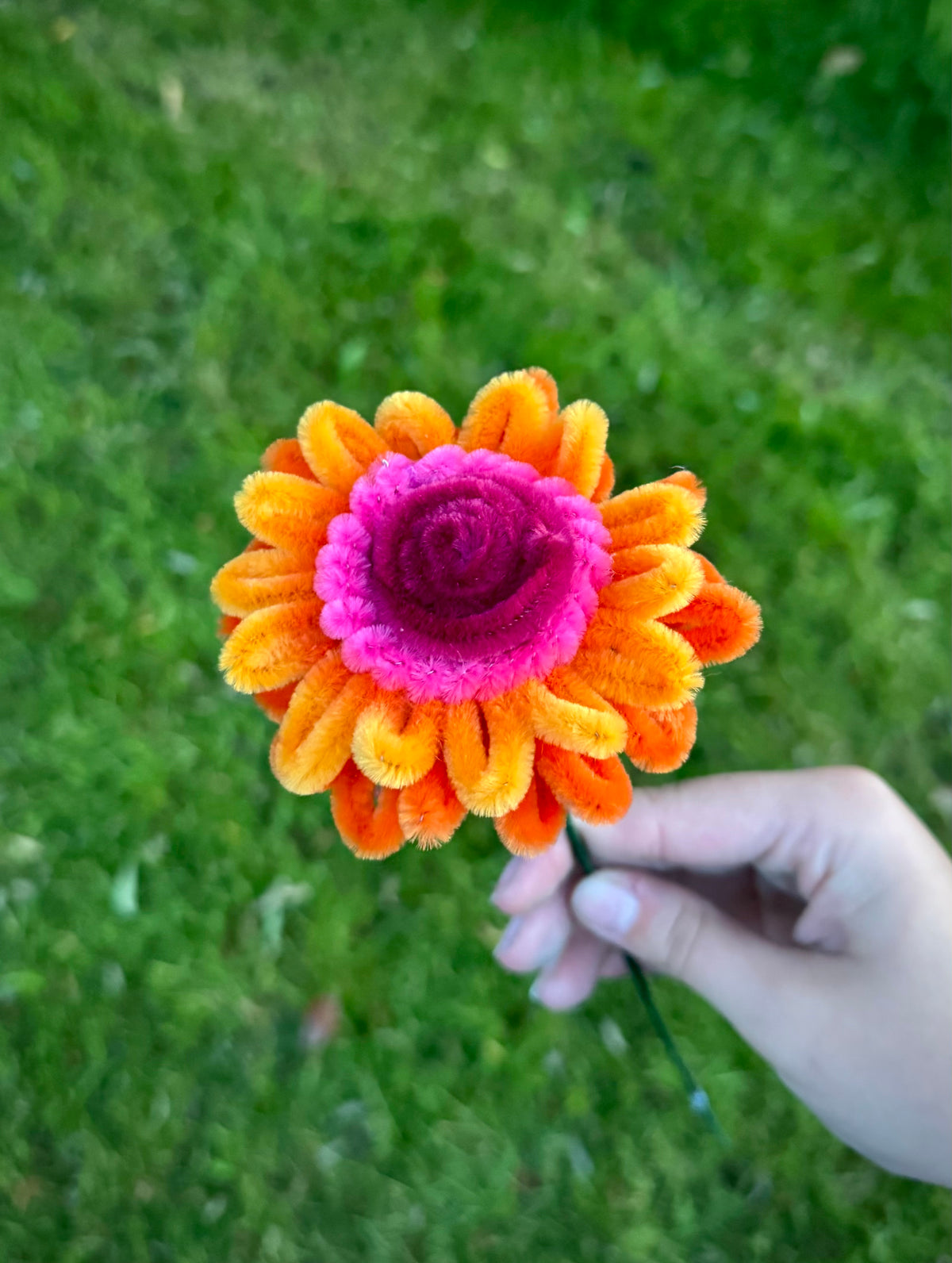 The Blooming Boutique