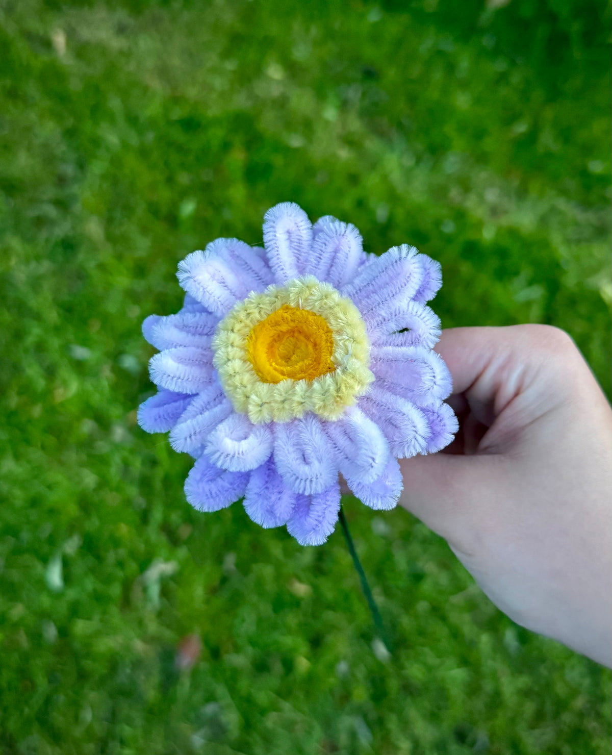 The Blooming Boutique