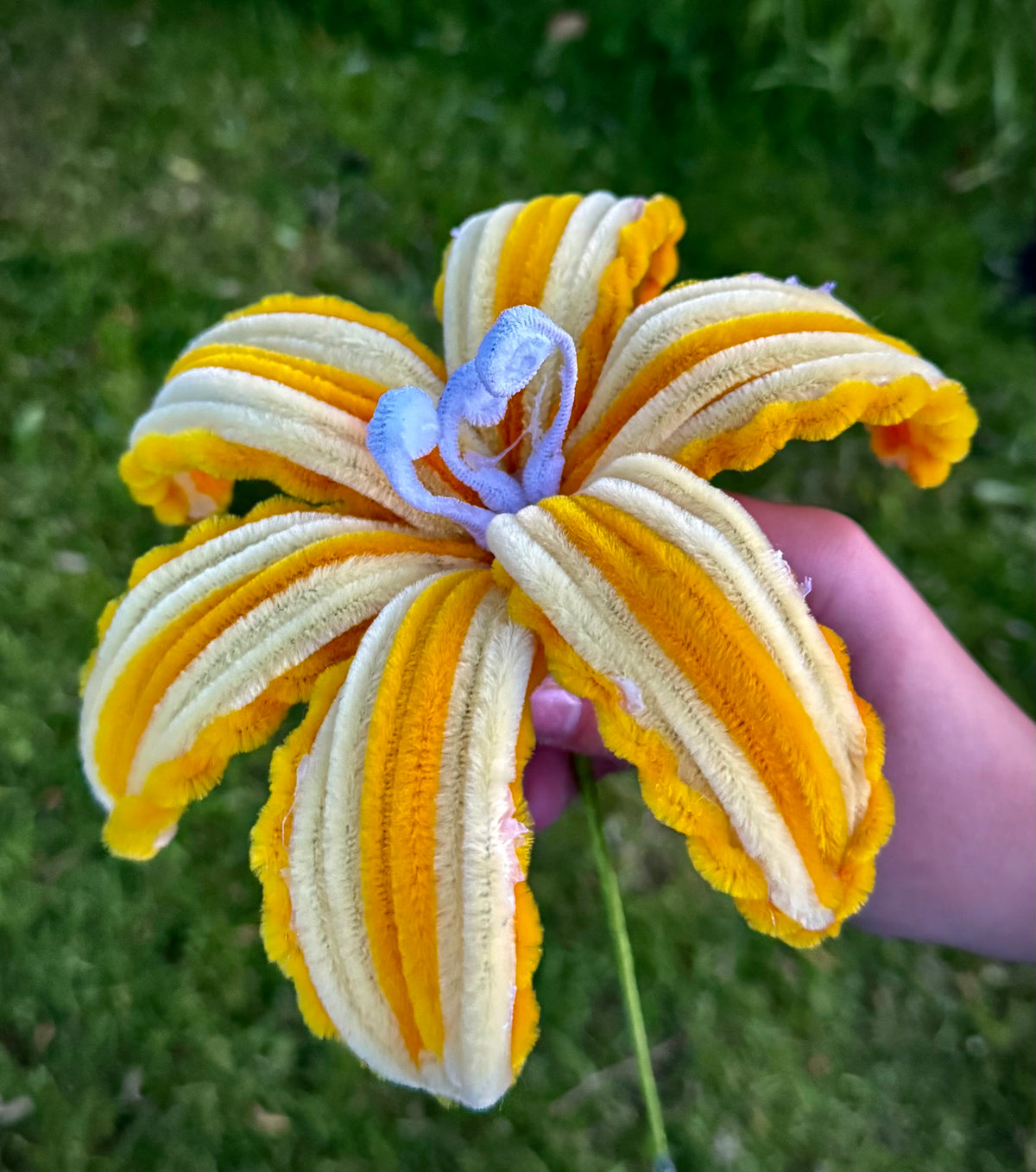 The Blooming Boutique
